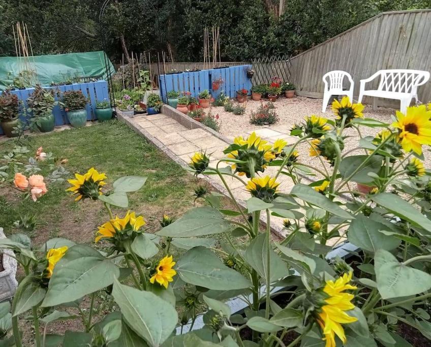 Wyke Regis House With Free Parking And Large Garden 빌라 외부 사진